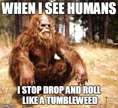 bigfoot | WHEN I SEE HUMANS; I STOP DROP AND ROLL LIKE A TUMBLEWEED | image tagged in bigfoot | made w/ Imgflip meme maker