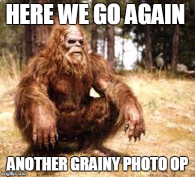 bigfoot | HERE WE GO AGAIN; ANOTHER GRAINY PHOTO OP | image tagged in bigfoot | made w/ Imgflip meme maker