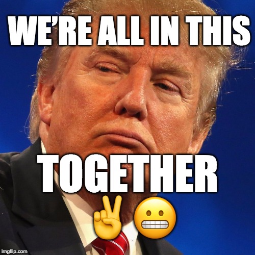 we're all in this together | WE’RE ALL IN THIS; TOGETHER ✌️😬 | image tagged in trump,donaldtrump,usa,maga | made w/ Imgflip meme maker