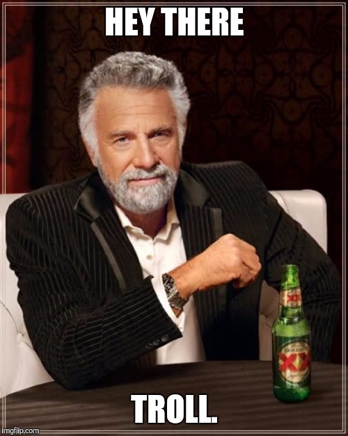 The Most Interesting Man In The World Meme | HEY THERE TROLL. | image tagged in memes,the most interesting man in the world | made w/ Imgflip meme maker