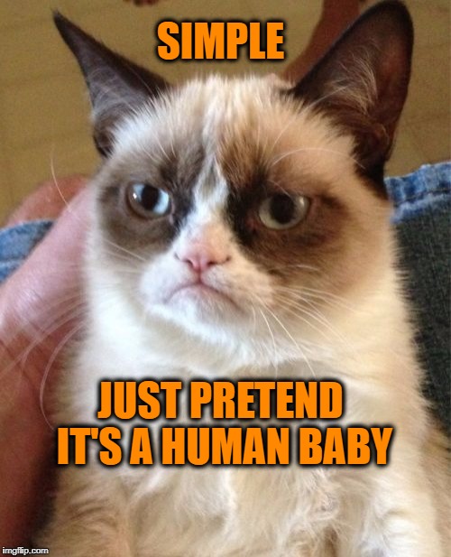 Grumpy Cat Meme | SIMPLE JUST PRETEND IT'S A HUMAN BABY | image tagged in memes,grumpy cat | made w/ Imgflip meme maker