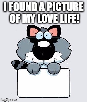 If I had one... | I FOUND A PICTURE OF MY LOVE LIFE! | image tagged in relationships,raccoon | made w/ Imgflip meme maker