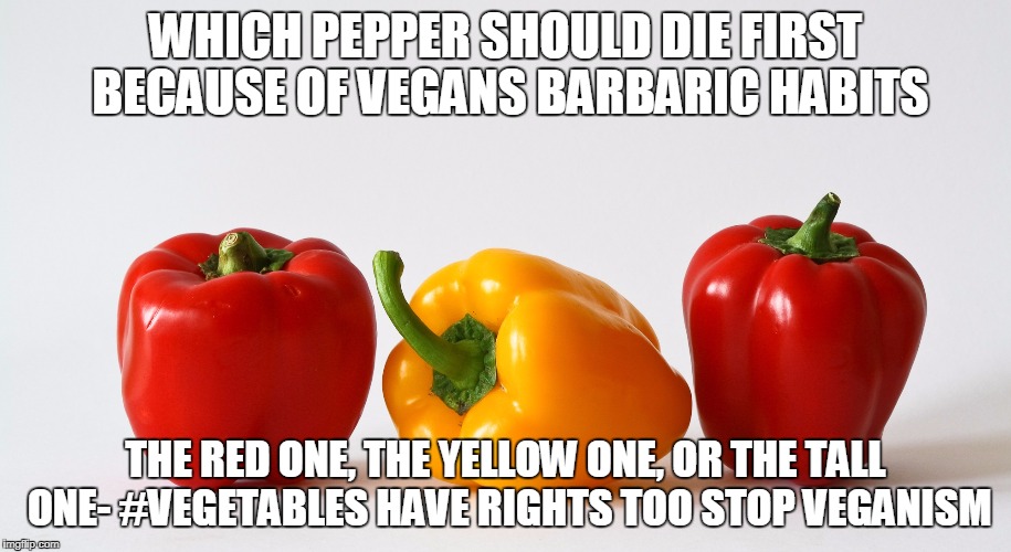 vegetables have rights too | WHICH PEPPER SHOULD DIE FIRST BECAUSE OF VEGANS BARBARIC HABITS; THE RED ONE, THE YELLOW ONE, OR THE TALL ONE- #VEGETABLES HAVE RIGHTS TOO STOP VEGANISM | image tagged in funny,memes | made w/ Imgflip meme maker
