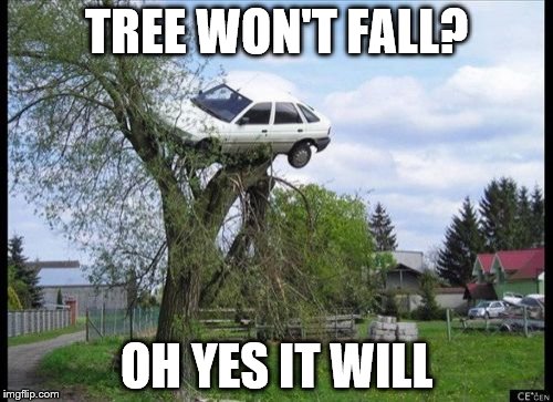 Secure Parking Meme | TREE WON'T FALL? OH YES IT WILL | image tagged in memes,secure parking | made w/ Imgflip meme maker