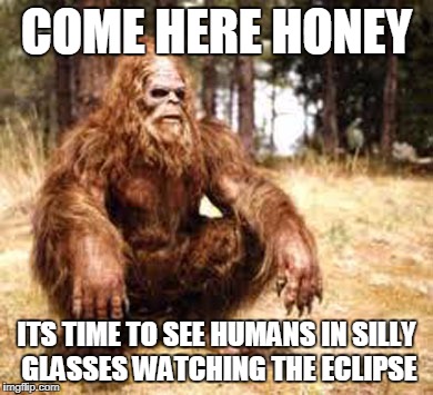 bigfoot | COME HERE HONEY; ITS TIME TO SEE HUMANS IN SILLY GLASSES WATCHING THE ECLIPSE | image tagged in bigfoot | made w/ Imgflip meme maker