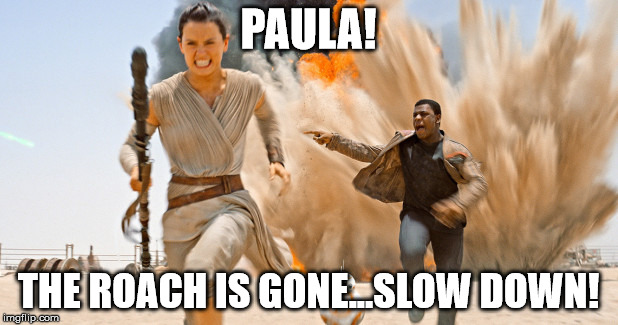 PAULA! THE ROACH IS GONE...SLOW DOWN! | image tagged in rey and finn sw | made w/ Imgflip meme maker