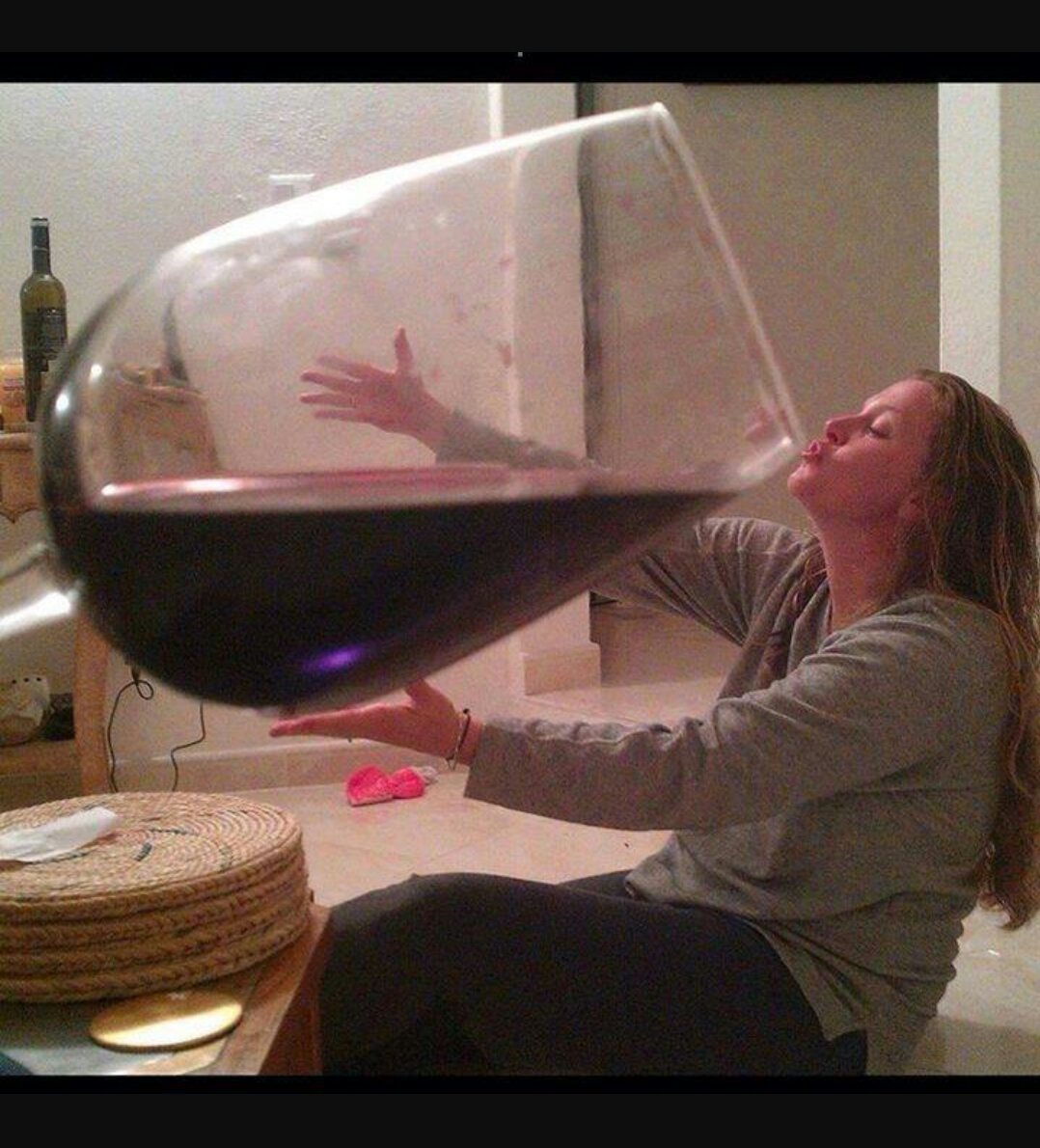 Giant glass of wine Blank Meme Template