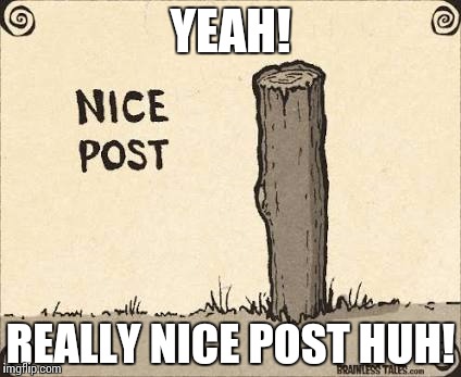 YEAH! REALLY NICE POST HUH! | made w/ Imgflip meme maker