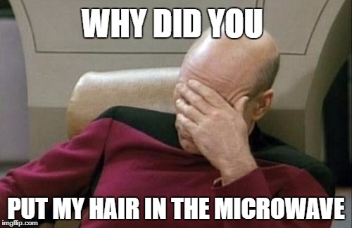 Captain Picard Facepalm | WHY DID YOU; PUT MY HAIR IN THE MICROWAVE | image tagged in memes,captain picard facepalm | made w/ Imgflip meme maker