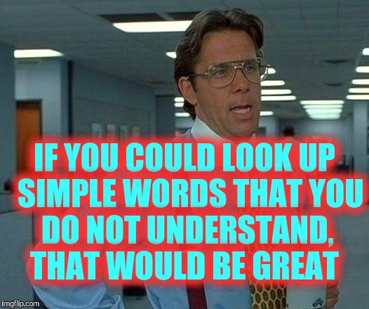 That Would Be Great Meme | IF YOU COULD LOOK UP  SIMPLE WORDS THAT YOU DO NOT UNDERSTAND,    THAT WOULD BE GREAT | image tagged in memes,that would be great | made w/ Imgflip meme maker