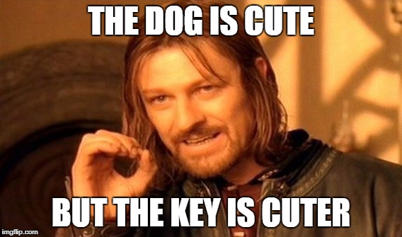 One Does Not Simply | THE DOG IS CUTE; BUT THE KEY IS CUTER | image tagged in memes,one does not simply | made w/ Imgflip meme maker