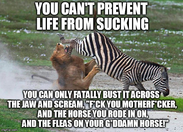 zebra kicks lion | YOU CAN'T PREVENT LIFE FROM SUCKING; YOU CAN ONLY FATALLY BUST IT ACROSS THE JAW AND SCREAM, "F*CK YOU MOTHERF*CKER,  AND THE HORSE YOU RODE IN ON,     AND THE FLEAS ON YOUR G*DDAMN HORSE!" | image tagged in zebra kicks lion,life sucks | made w/ Imgflip meme maker