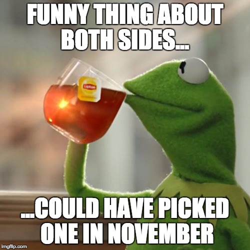 But That's None Of My Business Meme | FUNNY THING ABOUT BOTH SIDES... ...COULD HAVE PICKED ONE IN NOVEMBER | image tagged in memes,but thats none of my business,kermit the frog | made w/ Imgflip meme maker