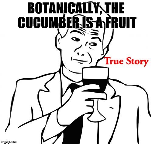 BOTANICALLY, THE CUCUMBER IS A FRUIT | image tagged in true story | made w/ Imgflip meme maker