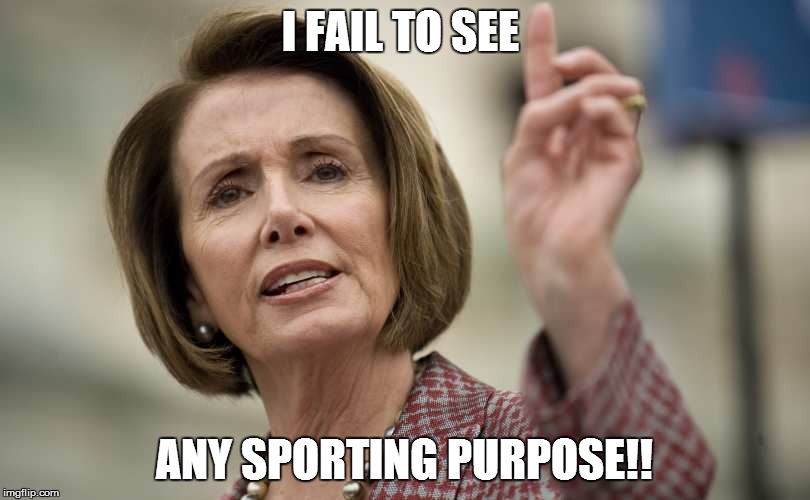 I FAIL TO SEE; ANY SPORTING PURPOSE!! | made w/ Imgflip meme maker