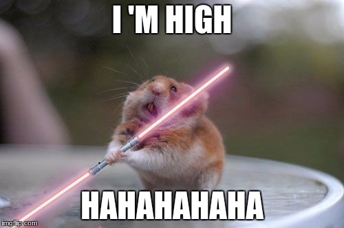 Star Wars hamster | I 'M HIGH; HAHAHAHAHA | image tagged in star wars hamster | made w/ Imgflip meme maker