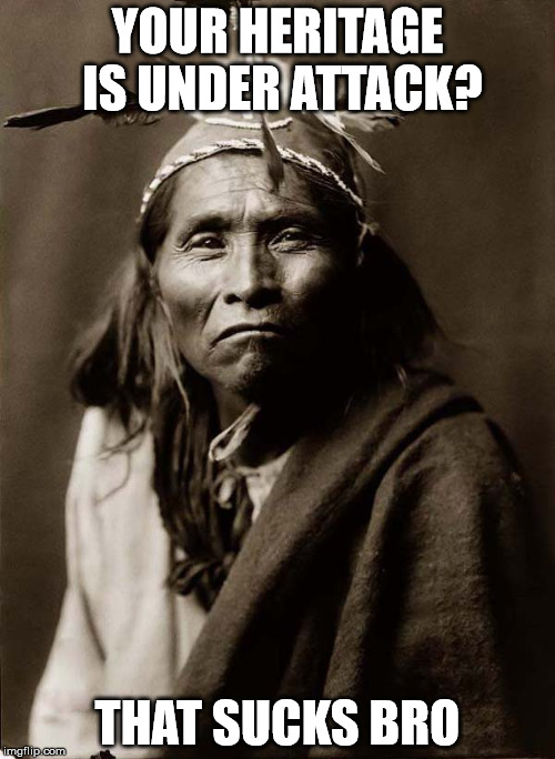That sucks bro | YOUR HERITAGE IS UNDER ATTACK? THAT SUCKS BRO | image tagged in indian | made w/ Imgflip meme maker