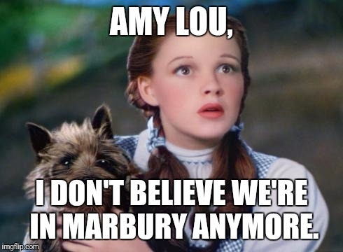 Toto Wizard of Oz | AMY LOU, I DON'T BELIEVE WE'RE IN MARBURY ANYMORE. | image tagged in toto wizard of oz | made w/ Imgflip meme maker