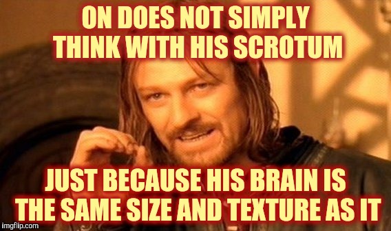 One Does Not Simply Meme | ON DOES NOT SIMPLY THINK WITH HIS SCROTUM; JUST BECAUSE HIS BRAIN IS THE SAME SIZE AND TEXTURE AS IT | image tagged in memes,one does not simply | made w/ Imgflip meme maker