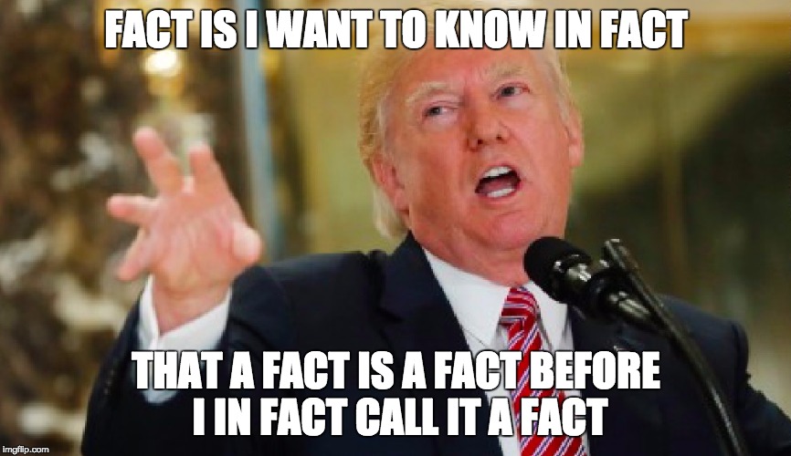 i'll tell you a fact | FACT IS I WANT TO KNOW IN FACT; THAT A FACT IS A FACT BEFORE I IN FACT CALL IT A FACT | image tagged in fact,facts,truth,post-truth,donald trump approves | made w/ Imgflip meme maker