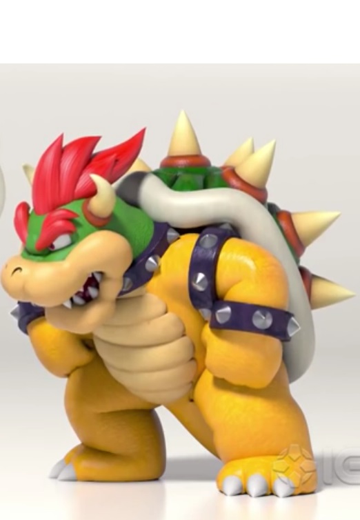 Authoritarian Bowser Blank Meme Template