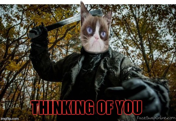 grumpy cat jason | THINKING OF YOU | image tagged in grumpy cat jason | made w/ Imgflip meme maker