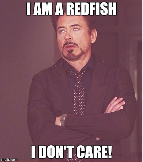 Face You Make Robert Downey Jr Meme | I AM A REDFISH; I DON'T CARE! | image tagged in memes,face you make robert downey jr | made w/ Imgflip meme maker