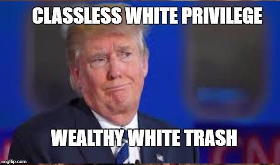 White Trash | CLASSLESS WHITE PRIVILEGE; WEALTHY WHITE TRASH | image tagged in trump,racist,classless | made w/ Imgflip meme maker
