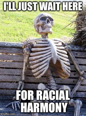 Waiting Skeleton | I'LL JUST WAIT HERE; FOR RACIAL HARMONY | image tagged in memes,waiting skeleton,racism | made w/ Imgflip meme maker