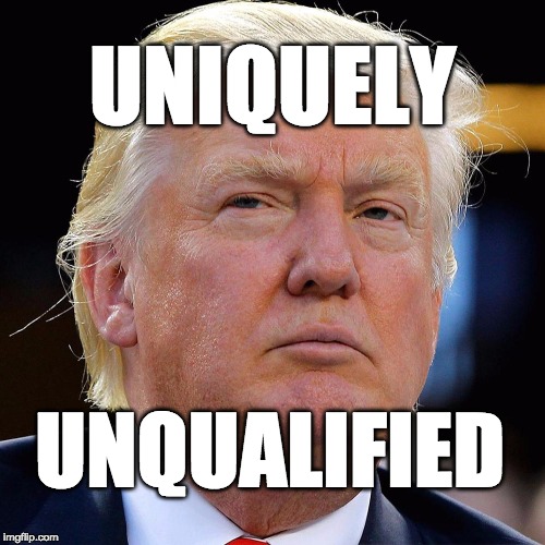 uniquely unqualified | UNIQUELY; UNQUALIFIED | image tagged in trump,donald trump | made w/ Imgflip meme maker