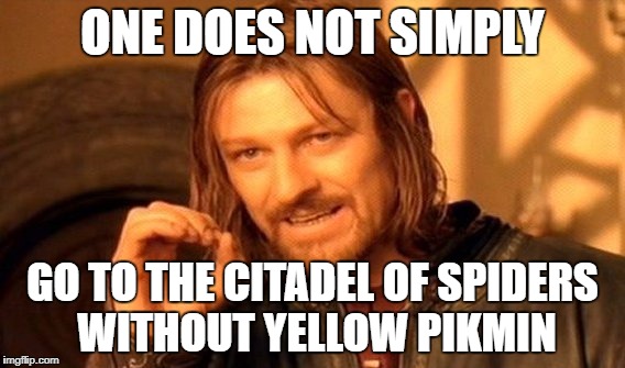 One Does Not Simply Meme | ONE DOES NOT SIMPLY; GO TO THE CITADEL OF SPIDERS WITHOUT YELLOW PIKMIN | image tagged in memes,one does not simply | made w/ Imgflip meme maker