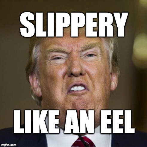 slippery like an eel | SLIPPERY; LIKE AN EEL | image tagged in trump,donald trump | made w/ Imgflip meme maker