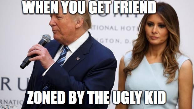 friend zoned | WHEN YOU GET FRIEND; ZONED BY THE UGLY KID | image tagged in donald trump | made w/ Imgflip meme maker