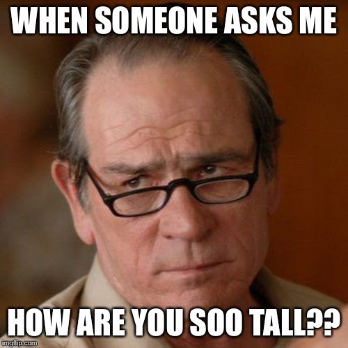 Tommy Lee Jones Are you serious | WHEN SOMEONE ASKS ME; HOW ARE YOU SOO TALL?? | image tagged in tommy lee jones are you serious | made w/ Imgflip meme maker