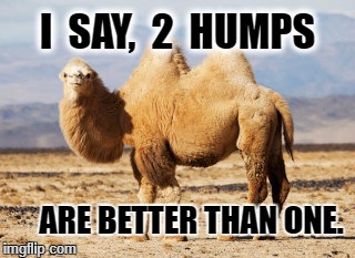 talkin shit camel | I  SAY,  2  HUMPS; ARE BETTER THAN ONE. | image tagged in talkin shit camel | made w/ Imgflip meme maker