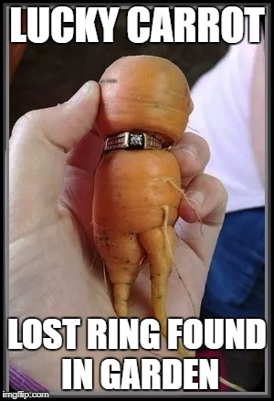LUCKY CARROT; LOST RING FOUND IN GARDEN | image tagged in lucky carrot | made w/ Imgflip meme maker