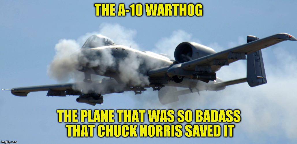 A10 birthday | THE A-10 WARTHOG; THE PLANE THAT WAS SO BADASS THAT CHUCK NORRIS SAVED IT | image tagged in a10 birthday | made w/ Imgflip meme maker