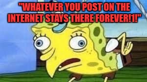 Mocking Spongebob Meme | "WHATEVER YOU POST ON THE INTERNET STAYS THERE FOREVER!1!" | image tagged in spongebob mock | made w/ Imgflip meme maker