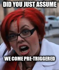 DID YOU JUST ASSUME WE COME PRE-TRIGGERED | made w/ Imgflip meme maker