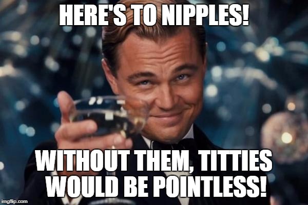 Leonardo Dicaprio Cheers Meme | HERE'S TO NIPPLES! WITHOUT THEM, TITTIES WOULD BE POINTLESS! | image tagged in memes,leonardo dicaprio cheers | made w/ Imgflip meme maker