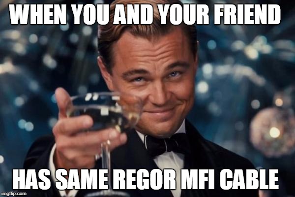 Leonardo Dicaprio Cheers Meme | WHEN YOU AND YOUR FRIEND; HAS SAME REGOR MFI CABLE | image tagged in memes,leonardo dicaprio cheers | made w/ Imgflip meme maker