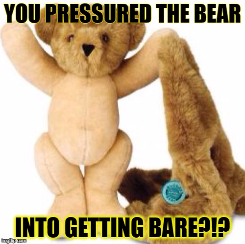 NO means NO!! | YOU PRESSURED THE BEAR; INTO GETTING BARE?!? | image tagged in naked_bear | made w/ Imgflip meme maker