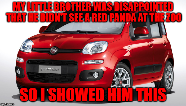 True story - we were just leaving when I spotted a red Fiat Panda parked near our car | MY LITTLE BROTHER WAS DISAPPOINTED THAT HE DIDN'T SEE A RED PANDA AT THE ZOO; SO I SHOWED HIM THIS | image tagged in memes,car,fiat panda,red panda,little brother,zoo | made w/ Imgflip meme maker