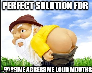 PERFECT SOLUTION FOR PASSIVE AGRESSIVE LOUD MOUTHS | made w/ Imgflip meme maker