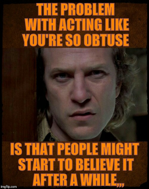 Buffalo Bill, Are you serious?,,, | THE PROBLEM   WITH ACTING LIKE   YOU'RE SO OBTUSE; IS THAT PEOPLE MIGHT START TO BELIEVE IT       AFTER A WHILE,,, | image tagged in buffalo bill are you serious?   | made w/ Imgflip meme maker