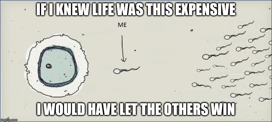 Adult Life | IF I KNEW LIFE WAS THIS EXPENSIVE; I WOULD HAVE LET THE OTHERS WIN | image tagged in adult,college,broke,bills | made w/ Imgflip meme maker