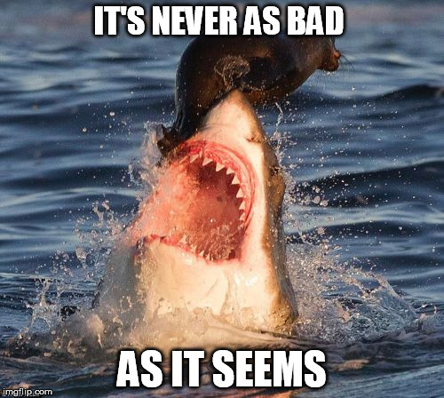 Travelonshark | IT'S NEVER AS BAD; AS IT SEEMS | image tagged in memes,travelonshark | made w/ Imgflip meme maker