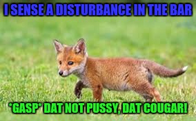 I SENSE A DISTURBANCE IN THE BAR *GASP* DAT NOT PUSSY, DAT COUGAR! | made w/ Imgflip meme maker