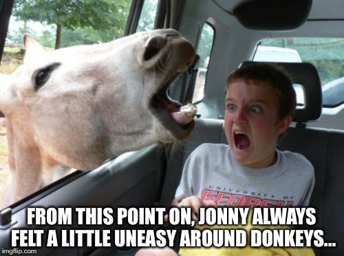 Equinophobia | FROM THIS POINT ON, JONNY ALWAYS FELT A LITTLE UNEASY AROUND DONKEYS... | image tagged in equinophobia,memes,donkey,he-haw | made w/ Imgflip meme maker