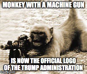 Trump monkey with a machine gun | MONKEY WITH A MACHINE GUN; IS NOW THE OFFICIAL LOGO OF THE TRUMP ADMINISTRATION | image tagged in donald trump | made w/ Imgflip meme maker